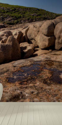 Poszter fiataloknak TPF254